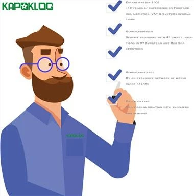Profesionální zasílatel námořní dopravy z Číny do USA DDP